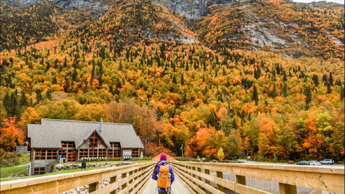 gallup-canada-is-the-second-most-popular-destination-for-immigrants-in-2021