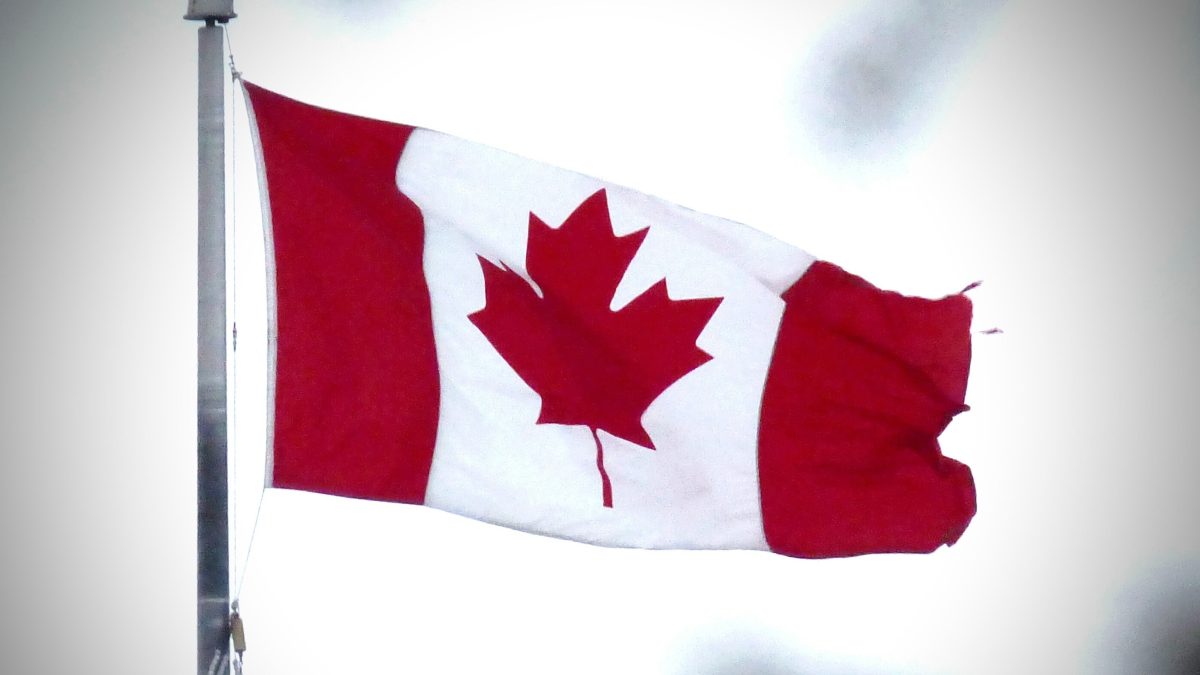 International Fund's positive forecast for GDP